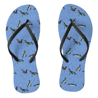 Pinguins Bubbly Chinelos (Azul)