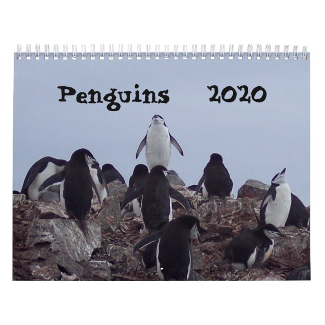 Pinguins - Calendário 2020 (Capa)