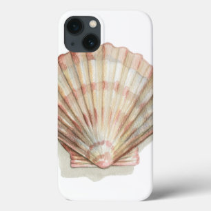 Pink and Cream Seashell