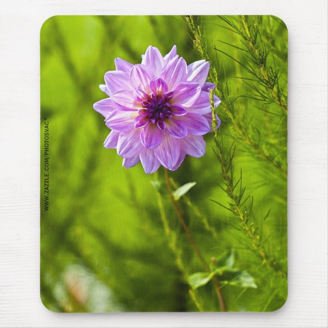 Pink Dahlia, Mousepad Efeito Aquarela (Frente)