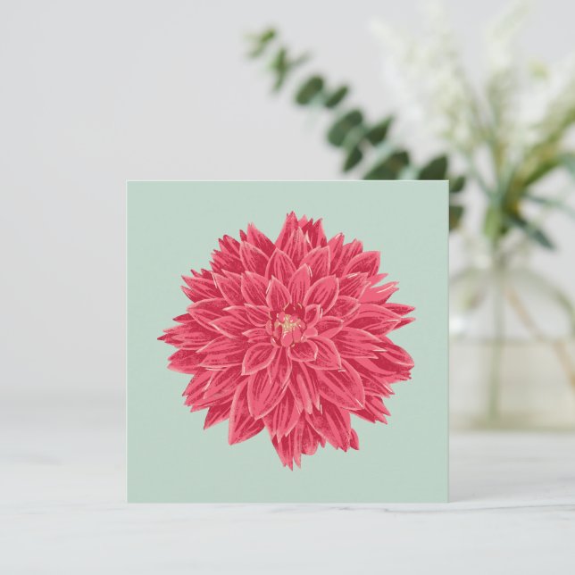 Pink Dahlie (Em pé/Frente)