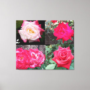PINK ELEGANT ROSA CANVAS PRINT