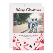 Pink Flamingo Papais noeis Foto Natal