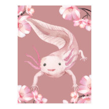 Pink Floral Axolotl Poster