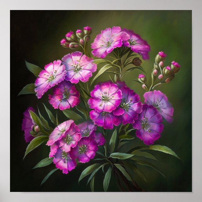 Pink Sweet William Flower Art Impressão Poster (Frente)