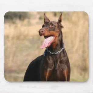 Pinscher Mousepad do Doberman