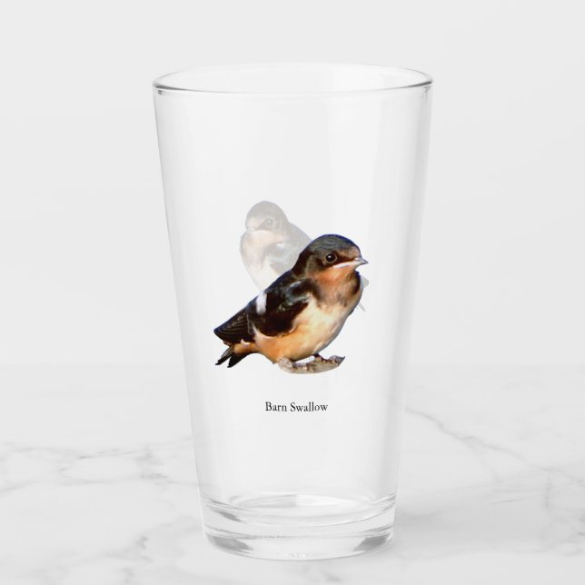Pint Andorinha-das-ceuves bebendo de copo (Frente)