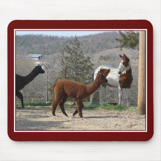 Pinte a alpaca Mousepad do cavalo (Frente)