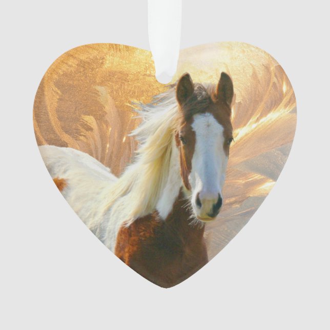 Pinte enfeites de natal do cavalo (Frente)