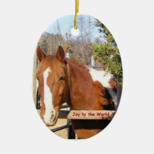 Pinte enfeites de natal do cavalo: Alegria ao