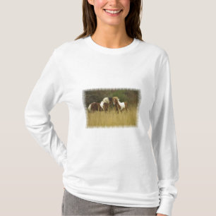 Pinte pôneis na camisa longa da Capa do campo