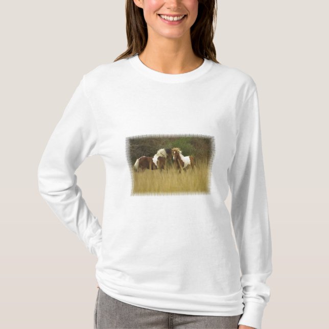 Pinte pôneis na camisa longa da Capa do campo (Frente)
