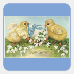 Pintinhos Antigos Com Adesivos de Ovo