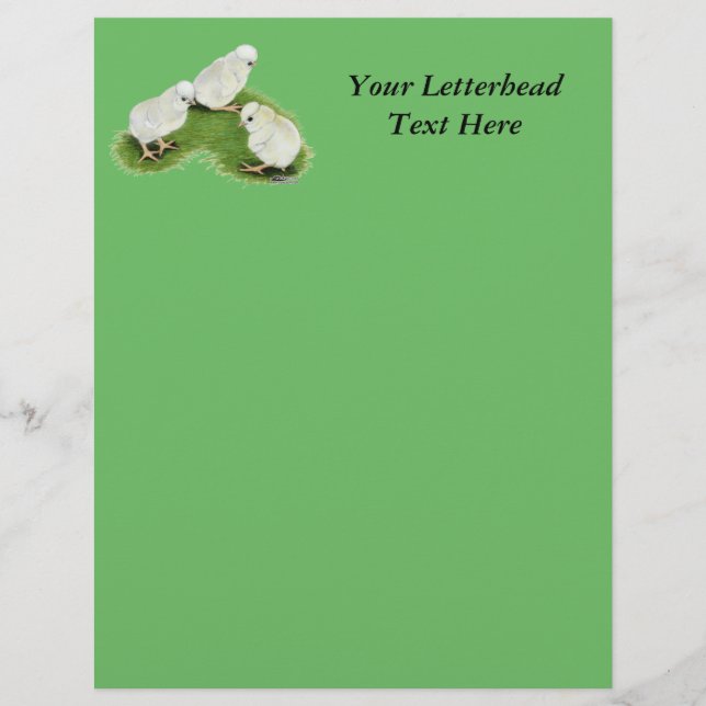 Pintinhos de abertura poloneses (Frente)