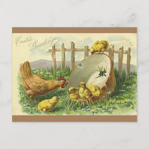 Pintinhos de Cartão Postal de Vintagem de Saudaç