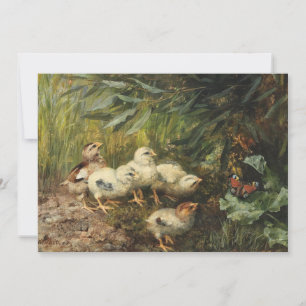 Pintinhos e borboleta   Franz Xaver Birkinger