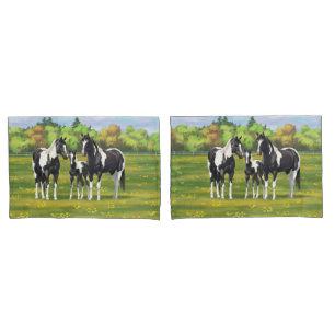 Pinto Negro Pinto Quarto Cavalos Na Pastagem De Ve