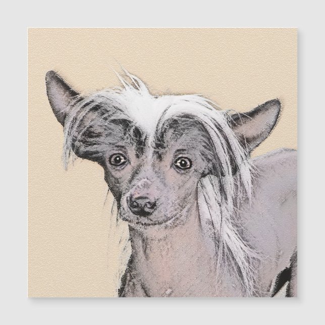 Pintura Chinesa Sem Penteado Pintura Original De C (Frente)