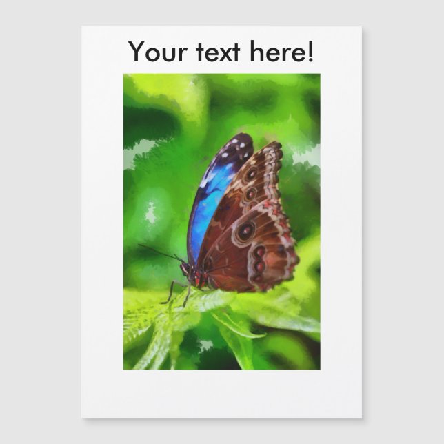 Pintura da borboleta (Frente)