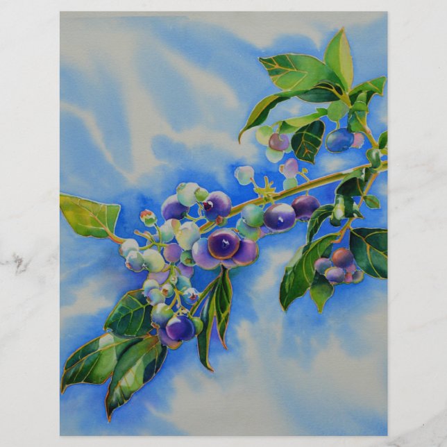 Pintura de aquarela de mirtilo (Frente)