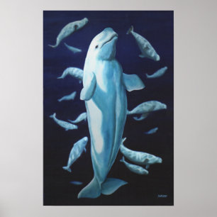 Pintura de Baleia Beluga Impressão Marinelife