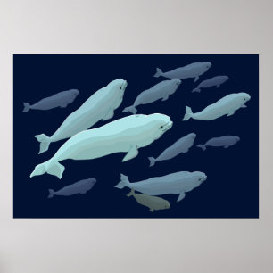 Pintura de Baleia Beluga Impressão Marinelife