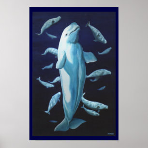 Pintura de Baleia Beluga Impressão Marinelife