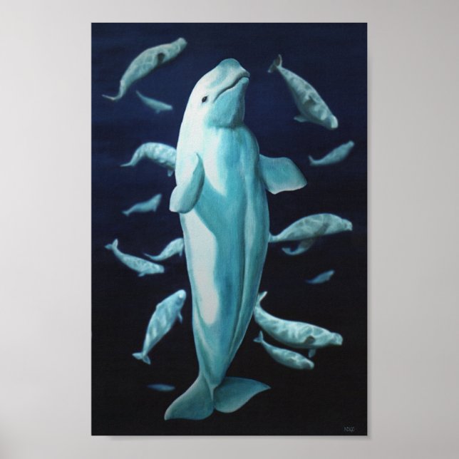Pintura de Baleia Beluga Impressão Marinelife (Frente)