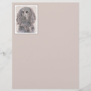 Pintura de Boykin Spaniel - Arte de Cachorro Origi
