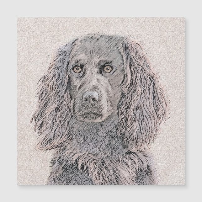 Pintura de Boykin Spaniel - Arte de Cachorro Origi (Frente)