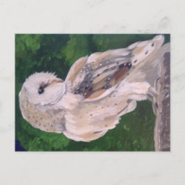 Pintura de coruja no cartão postal