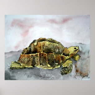 pintura de poster impressão da tartaruga-de-tartar