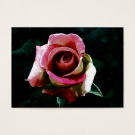 pintura de rosa