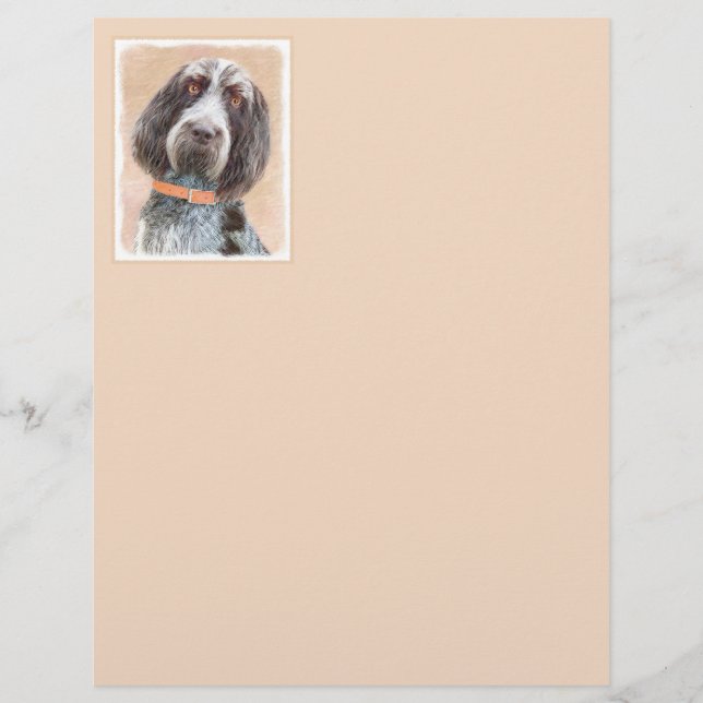 Pintura de Spinone Italiano - Arte de Cachorro Ori (Frente)