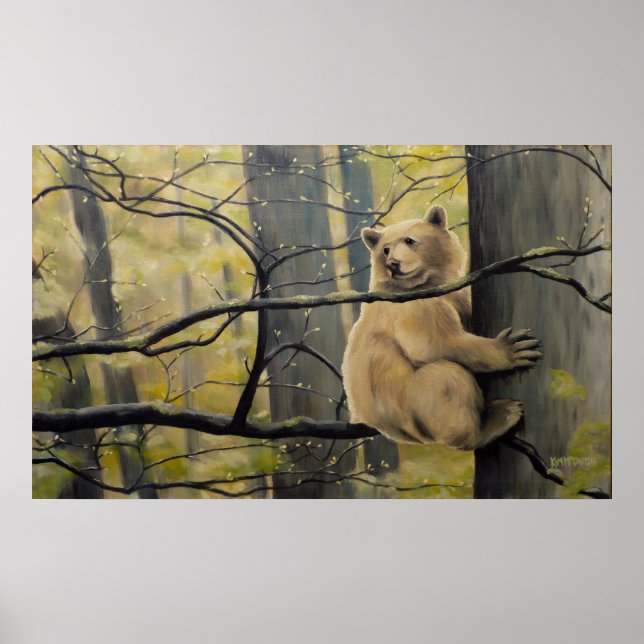 Pintura de Urso Kermode Canadense Impressões Willi (Frente)