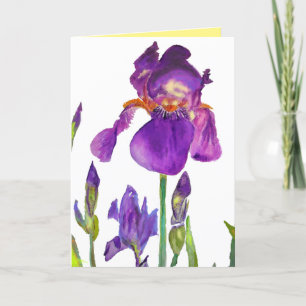 Pintura em aquarela de Íris Roxa cartão de flores