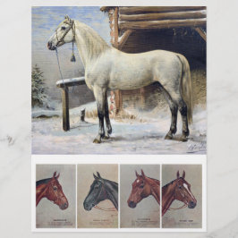 Pinturas de Cavalo Vintage da Era Vitoriana