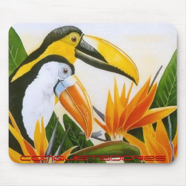 Pinturas Mousepad 36 da flor (Frente)