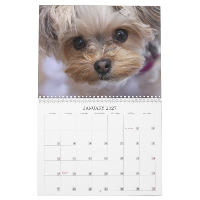 Pirulito de Cali calendário de 2015 12-Meses (Jan 2027)