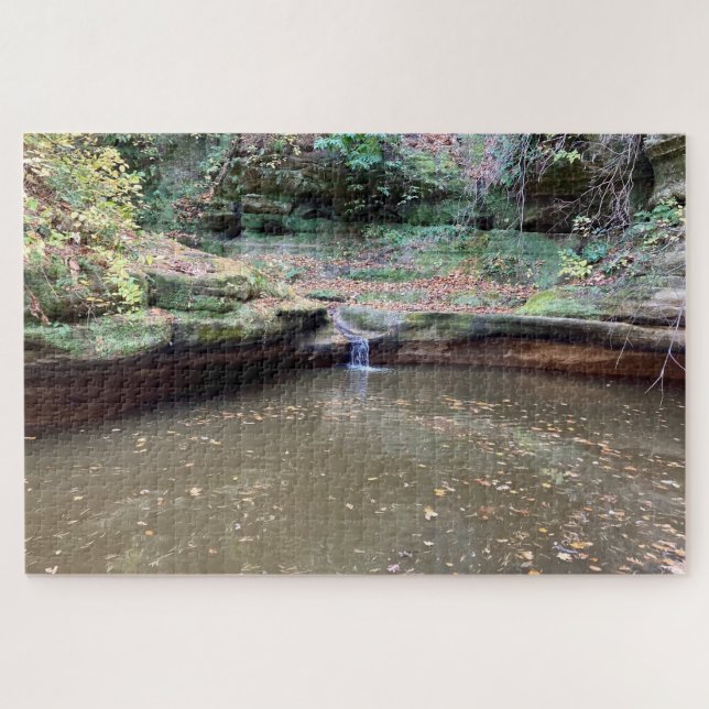 Piscina Florestal - Quebra-Cabeças da Brasa Silenc (Horizontal)