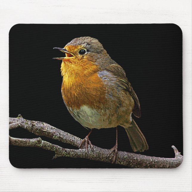 Pisco de peito vermelho Mousepad (Frente)