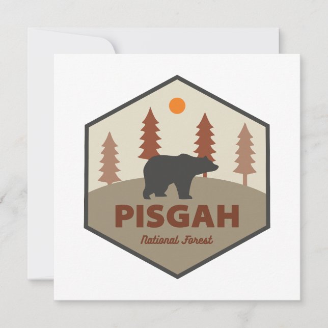 Pisgah National Forest Bear (Frente)
