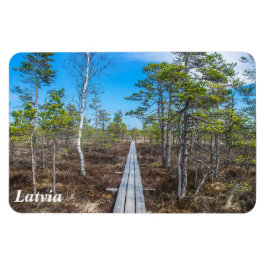 Pista de madeira sobre íman