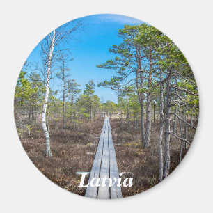 Pista de madeira sobre íman