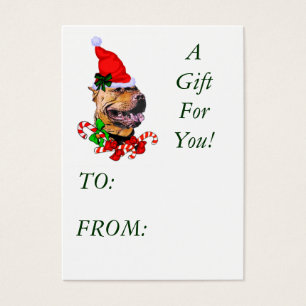 Pit Bull Americano Terrier Pitbull Natal Gif...