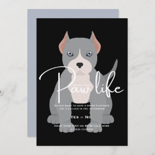 Pit bull play data paw life convite