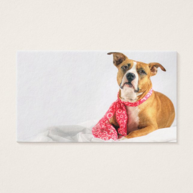 Pit Bull Puppy Love in Pink XOXO (Frente)