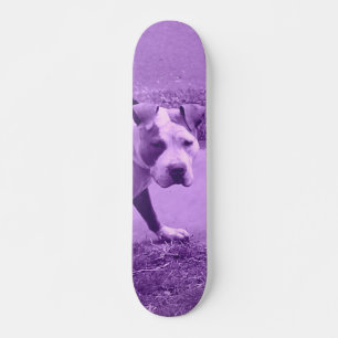 Pit Bull skate