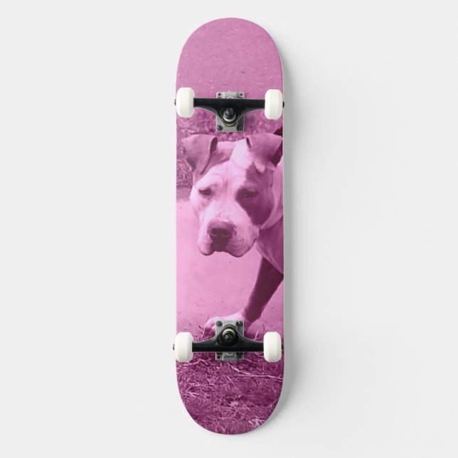Pit Bull skate (Frente)