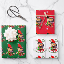 Pit Bull Terrier Natal Americano